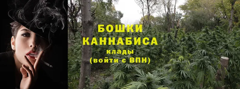 купить наркотик  Курск  Бошки Шишки Bruce Banner 